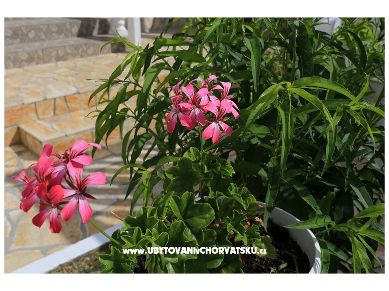 Holiday Rtina – ubytování Zadar, Chorvatsko – foto 8