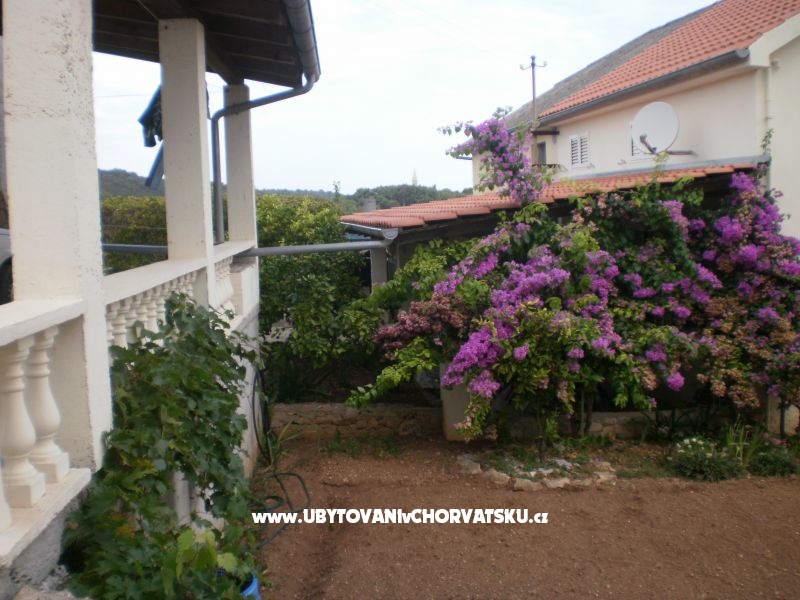 Kuća Branka – ubytování Zadar, Chorvatsko – foto 16
