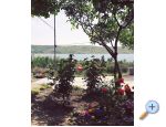Apartmaji Ivica- Livi - Zadar Hrvaka