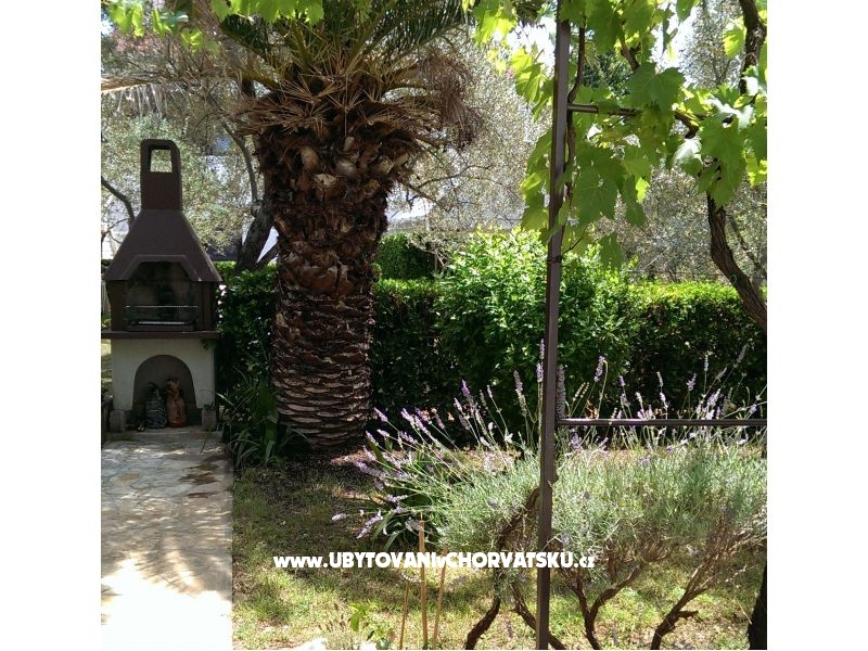 Nevena Ferienwohnungen – Ferienwohnung Zadar, Kroatien – Foto 5