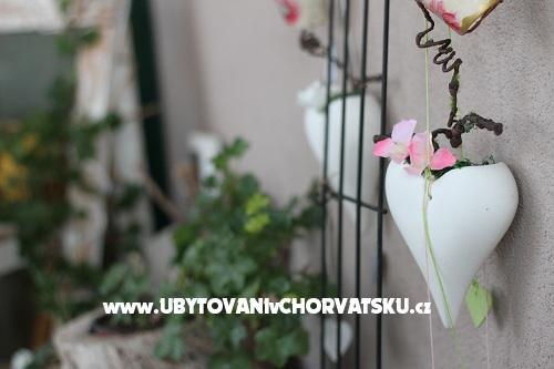 Olive Garden Zadar – Ferienwohnung Zadar, Kroatien – Foto 1