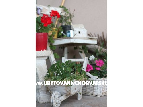 Olive Garden Zadar – Ferienwohnung Zadar, Kroatien – Foto 12