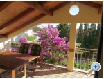 Apartmny Biskup - Zadar Chorvatsko