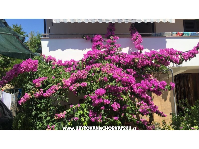 Lucija apartmány – Ferienwohnung Zadar, Kroatien – Foto 2