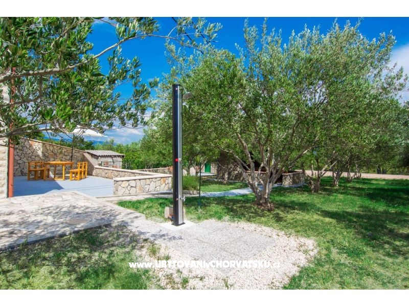 Vacation house Maslina – Ferienwohnung Zadar, Kroatien – Foto 4