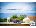 Villa IBIS - Zadar Chorvatsko