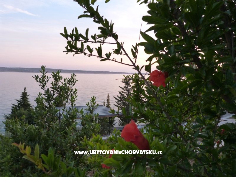 Villa Maria - apartments – Ferienwohnung Zadar, Kroatien – Foto 10