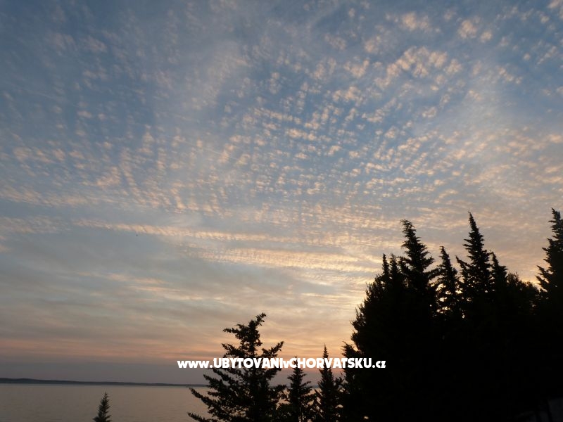 Villa Maria - apartments – Ferienwohnung Zadar, Kroatien – Foto 13