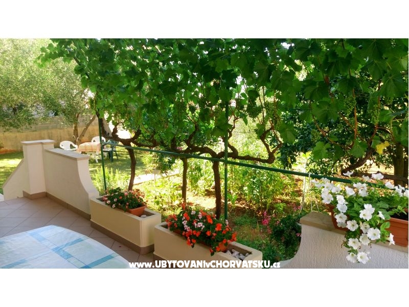 Villa Rosemarino – Ferienwohnung Zadar, Kroatien – Foto 11