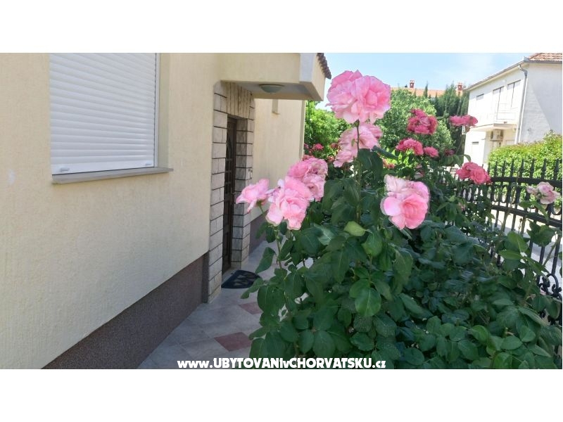 Villa Rosemarino – Ferienwohnung Zadar, Kroatien – Foto 5