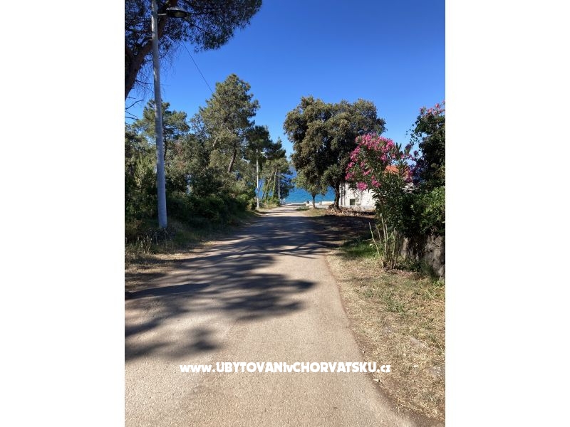 Villa Teresa – Ferienwohnung Zadar, Kroatien – Foto 10