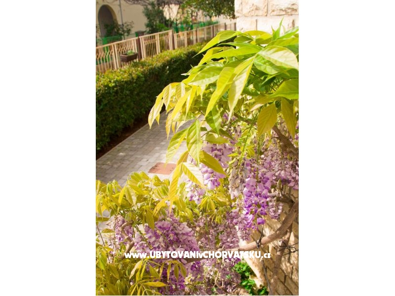 Villa Tereza – ubytování Zadar, Chorvatsko – foto 11