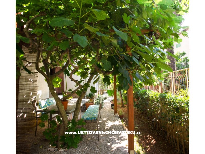 Villa Tereza – ubytování Zadar, Chorvatsko – foto 18