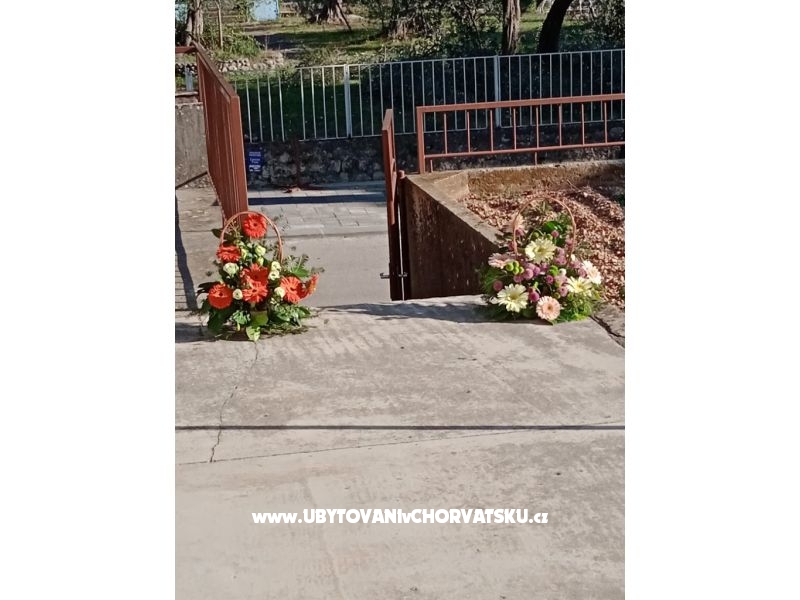 Apartment Viter – Ferienwohnung Zaostrog, Kroatien – Foto 2