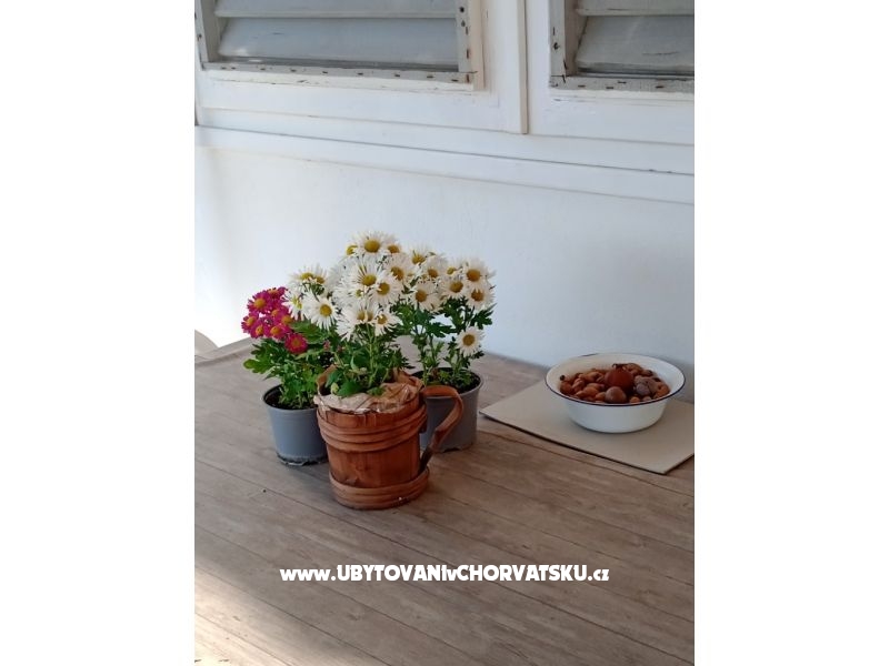 Apartment Viter – Ferienwohnung Zaostrog, Kroatien – Foto 5