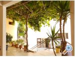 Apartmaji Bilkini - Zaostrog Hrvaka