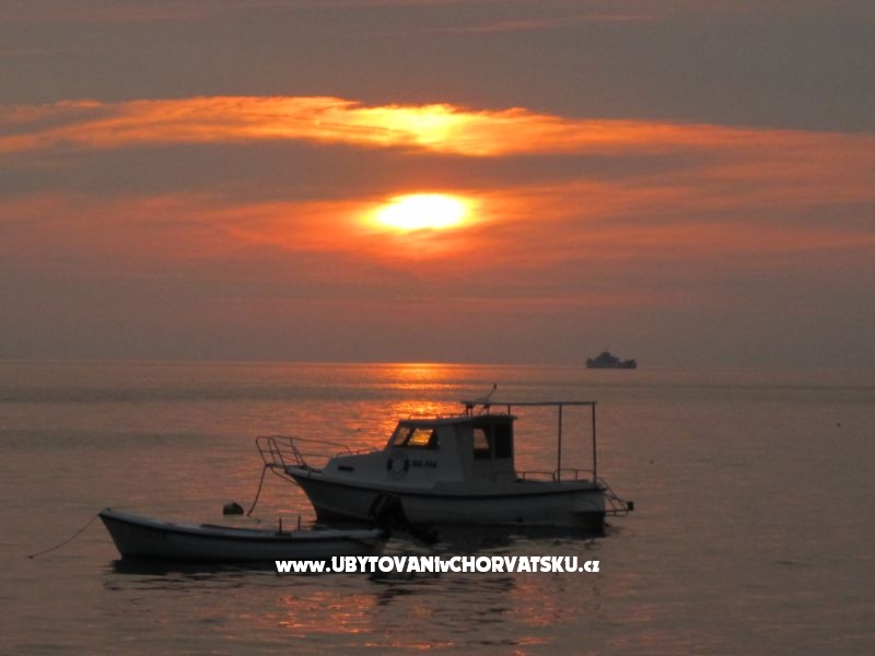 Appartements Jagoda – Ferienwohnung Zaostrog, Kroatien – Foto 11