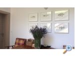 Appartements Jardin - Zaostrog Croatie