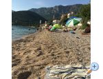 Appartements Jardin - Zaostrog Croatie