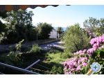 Apartmaji Maja - Zaostrog Hrvaka