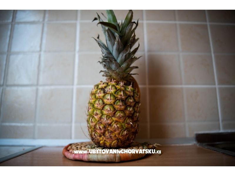 Appartements Malbašić – Ferienwohnung Zaostrog, Kroatien – Foto 16