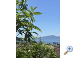 Apartamenty Kavara - Zaostrog Chorwacja