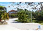 Apartmaji Matutinovic - Zaostrog Hrvaka