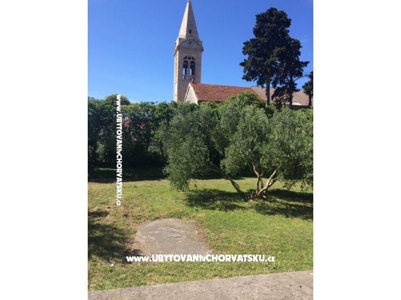 Bossina Zaostrog – Ferienwohnung Zaostrog, Kroatien – Foto 14