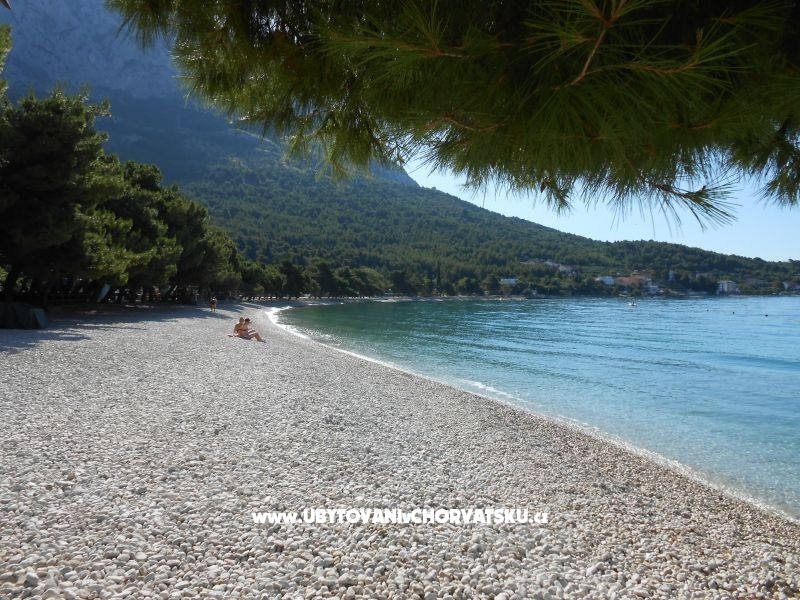 Casa Flowers – Ferienwohnung Zaostrog, Kroatien – Foto 16