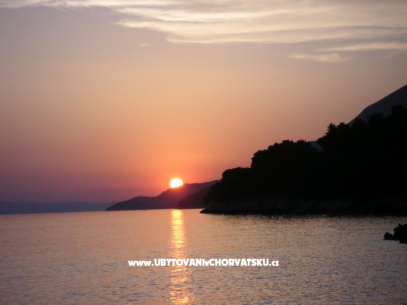 Casa Flowers – Ferienwohnung Zaostrog, Kroatien – Foto 18