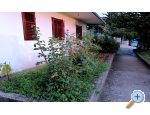Ferienhaus Burmaz – Zaostrog – Vorschau 3