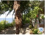Appartements Palma - Zaostrog Croatie