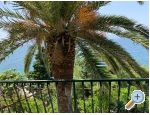 Appartements Palma - Zaostrog Croatie