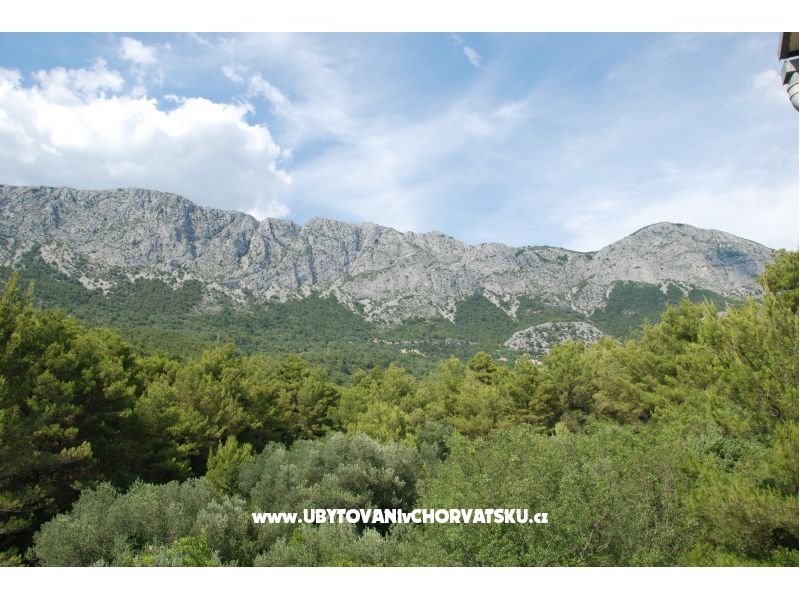 Villa Zaostrog – Ferienwohnung Zaostrog, Kroatien – Foto 16