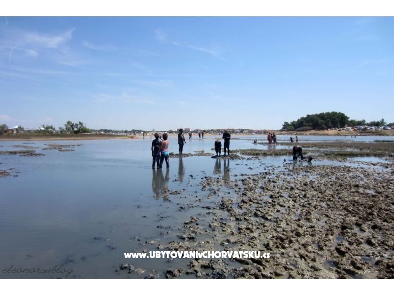 Alexis Haus – Ferienwohnung Zaton, Kroatien – Foto 12