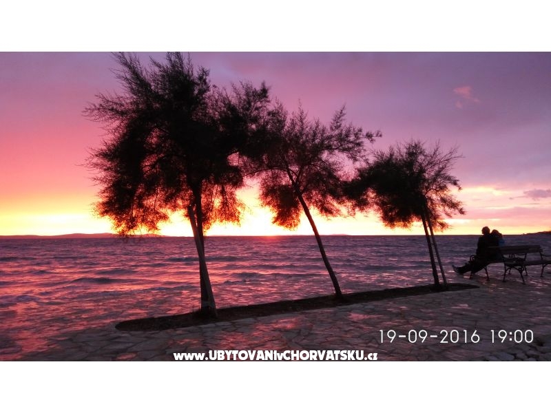 Appartement Graf – Ferienwohnung Zaton, Kroatien – Foto 5