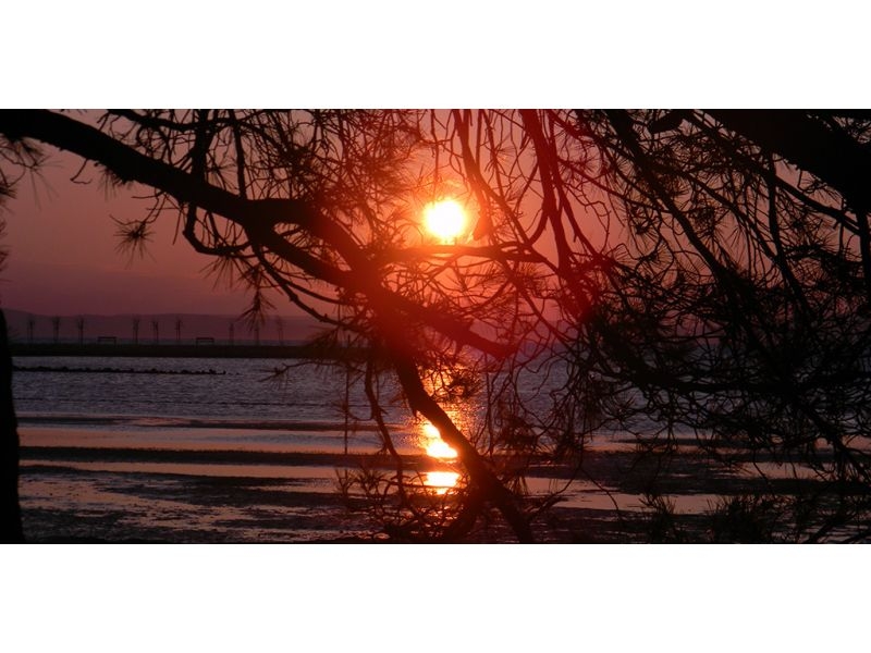 Denis apartman Zaton – Ferienwohnung Zaton, Kroatien – Foto 18