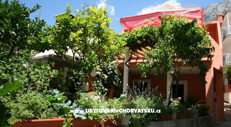 Apartment Mirjana – Ferienwohnung Zivogosce, Kroatien – Foto 1