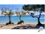 Apartmaji Ferdo - ivogoe Hrvaka