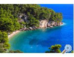 Apartmaji Ferdo - ivogoe Hrvaka