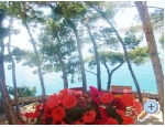 Appartements Jela - Porat - ivogoe Kroatien
