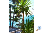 Apartmaji Jela - Porat - ivogoe Hrvaka