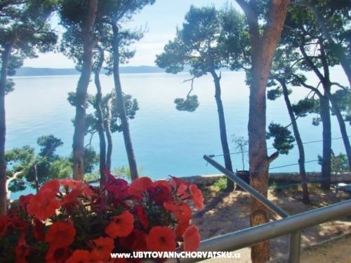 Appartements Jela - Porat - ivogoe Croatie