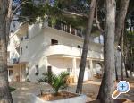 Apartmaji Jela - Porat - ivogoe Hrvaka
