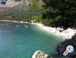 Apartmaji Jela - Porat - ivogoe Hrvaka