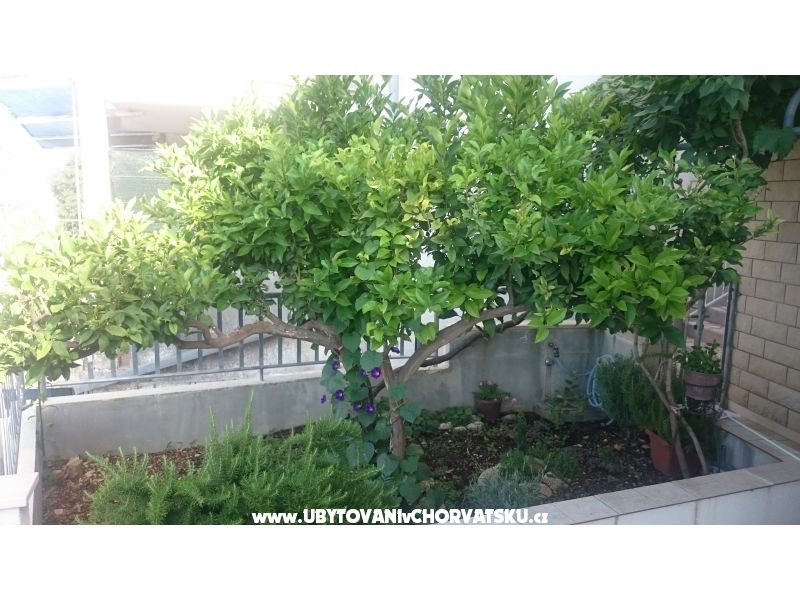 Appartements Jovanović – Ferienwohnung Zivogosce, Kroatien – Foto 12