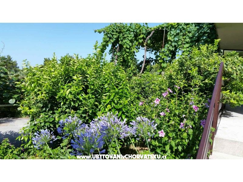 Appartements Lily – Ferienwohnung Zivogosce, Kroatien – Foto 5