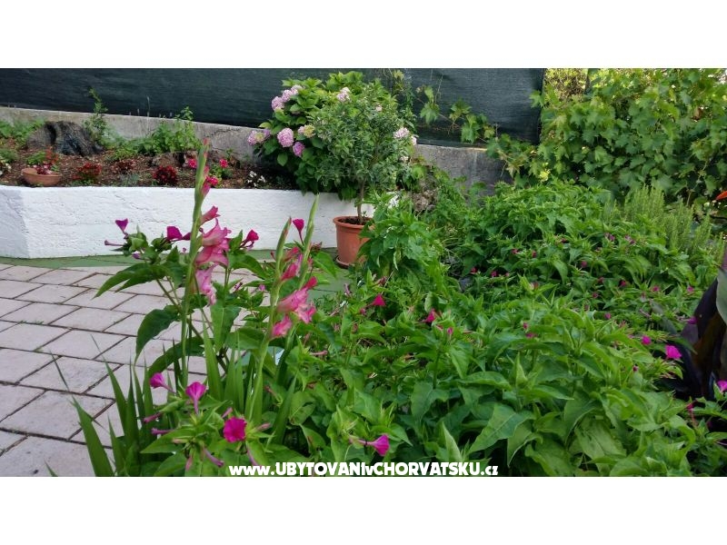 Appartements Lily – Ferienwohnung Zivogosce, Kroatien – Foto 8