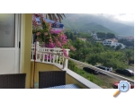 Apartmaji Lydia - ivogoe Hrvaka