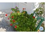 Apartmaji Majstrovi ivogoe - ivogoe Hrvaka